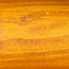 T0060 Pínia