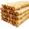 Červený smrek - guľatina mokrá (hoblovaná)